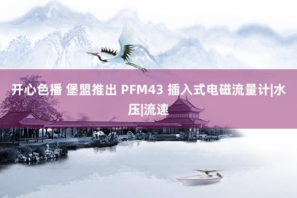 开心色播 堡盟推出 PFM43 插入式电磁流量计|水压|流速